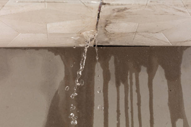 Professional Water Damage Inspection technician working in Lutz, FL
